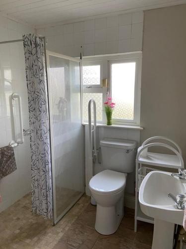 a bathroom with a toilet and a shower and a sink at Bridie's Cottage in Mullagh