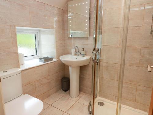 a bathroom with a toilet sink and a shower at Haven Cottage in Kirkcudbright
