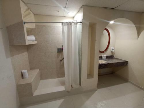a bathroom with a shower and a sink at HMB Guadalajara Centro in Guadalajara