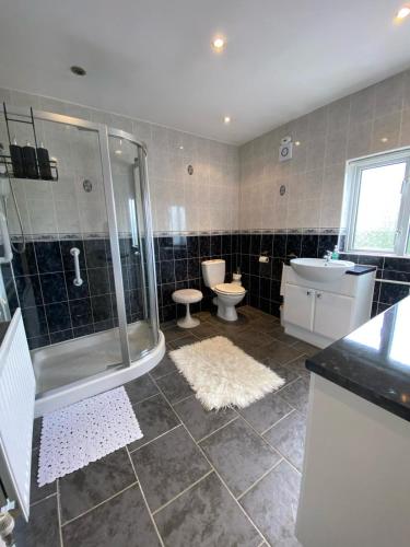 a bathroom with a shower and a toilet and a sink at IronPig Cottage in Cheadle