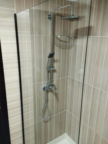 a shower with a shower head in a bathroom at Caldasia in Caldas de Reis