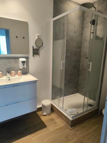 a bathroom with a shower and a sink at Cit' Hôtel Agena in Brest