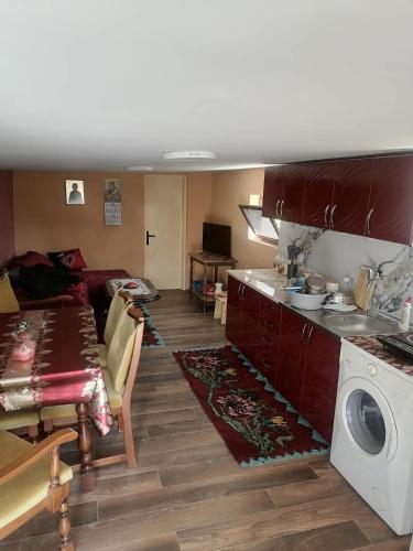 a kitchen and living room with a washing machine at Suncani breg in Ljig