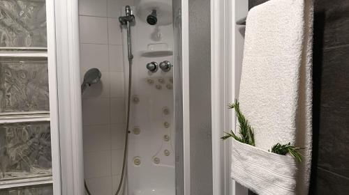 a shower in a bathroom with a shower at Bosquet de l'Auró in Argençola