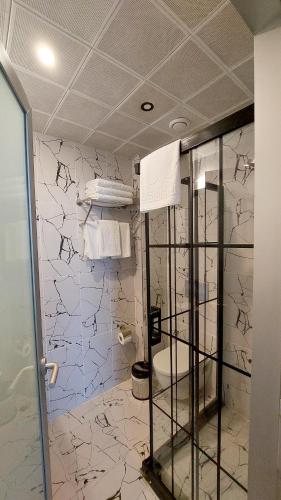 a bathroom with a toilet and a tiled wall at Central Park Hotel İstanbul in Istanbul