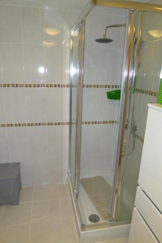a shower with a glass door in a bathroom at Casa Azul self-catering apartment with gorgeous biological swimming pool in Avelar