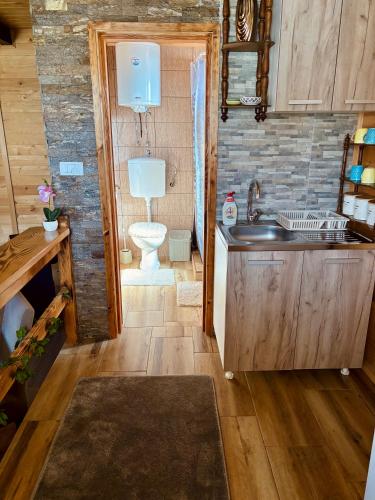 a bathroom with a toilet and a sink at Brvnare Nikolić in Zlatibor