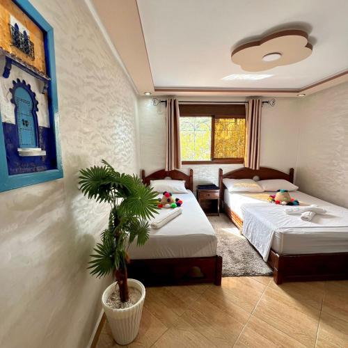 a bedroom with two beds and a palm tree in it at Hôtel nabil akchour in Akchour
