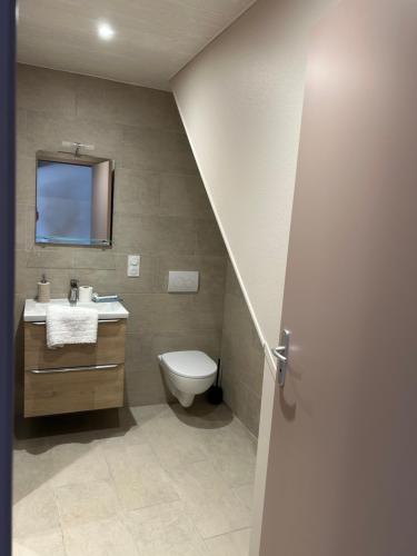 a bathroom with a toilet and a sink and a mirror at Gîte Les Vignes au Cheylard in Le Cheylard
