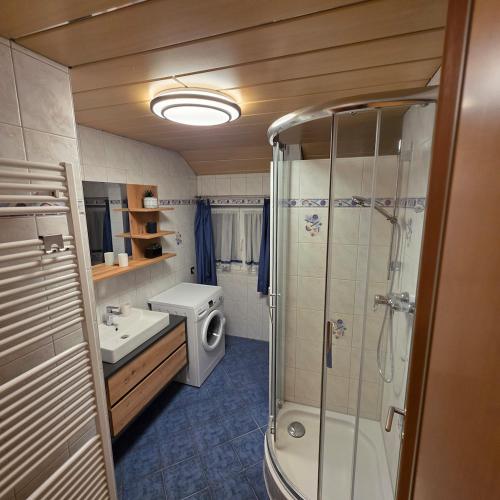 a bathroom with a shower and a toilet and a sink at Apartment Almblick in Übelbach