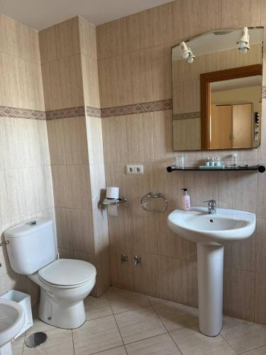a bathroom with a toilet and a sink and a mirror at Pensión USOA in Zubiri