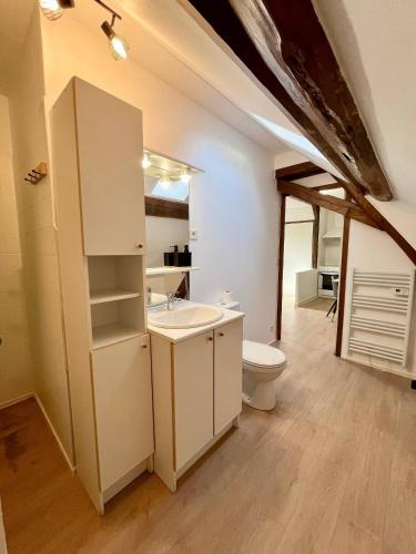 a bathroom with a sink and a toilet in a attic at Le refuge des Ormes in Les Ormes