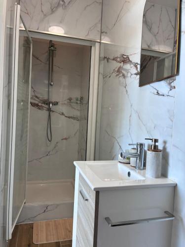 ein Badezimmer mit weißem Waschbecken und Dusche in der Unterkunft Studio Aloe in Dunkerque