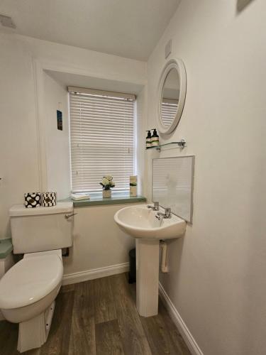 a bathroom with a toilet and a sink and a mirror at Kirkwall Flat 1 in Orkney