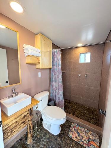 a bathroom with a toilet and a sink and a shower at Casa Guilligan By Los Naufragos in El Bateque