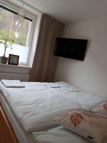a bedroom with a bed with a television on the wall at Apartmán s terasou REZIDENCE 300 Všemina in Všemina