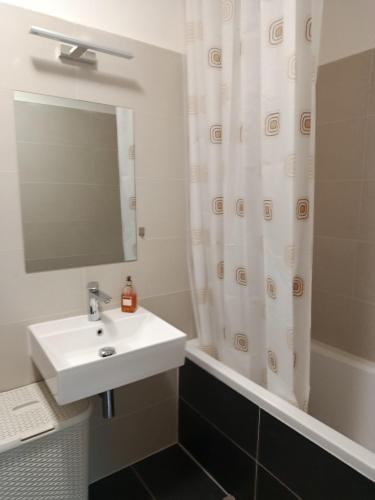 a bathroom with a sink and a shower with a mirror at Apartmán s terasou REZIDENCE 300 Všemina in Všemina