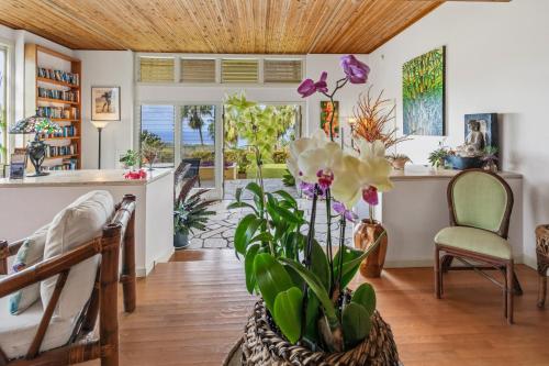 a living room with a plant in a vase at Luana Inn in Captain Cook