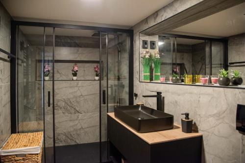 a bathroom with a sink and a shower at Villa Dodo in Soboli
