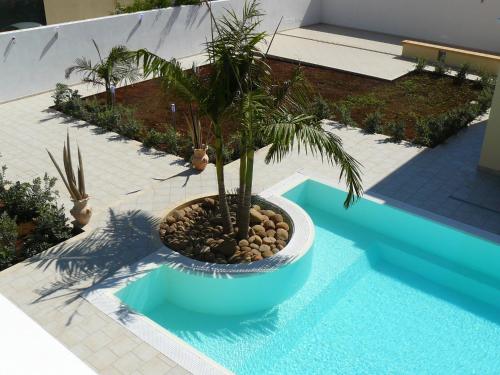 Πισίνα στο ή κοντά στο Oasi Tortuga Residence Piscina e barbecue h24