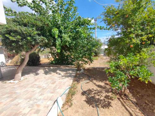 a garden with two trees and a hose at Minimalist Serenity Vravrona - Airport Stay in Vravrona