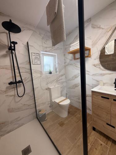 a bathroom with a shower with a toilet and a sink at La casuca de Candela in Santillana del Mar