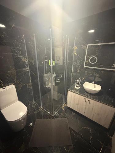 a bathroom with a shower and a toilet and a sink at Venus sea view in Paphos