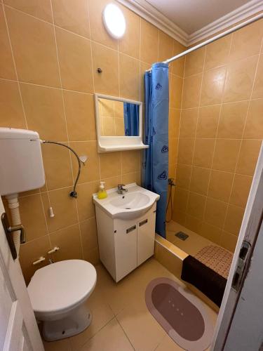 a bathroom with a toilet and a sink and a shower at Queen Apartmani in Soko Banja