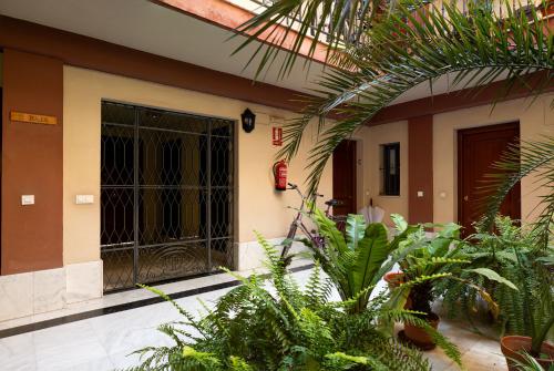 Apartamento Patio Andaluz
