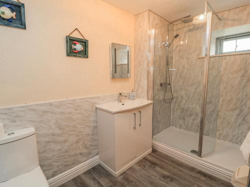 a bathroom with a shower and a sink and a toilet at Carthouse in Weston-super-Mare