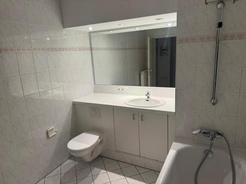 a bathroom with a sink and a toilet and a mirror at Stay Zentral Dresden in Dresden