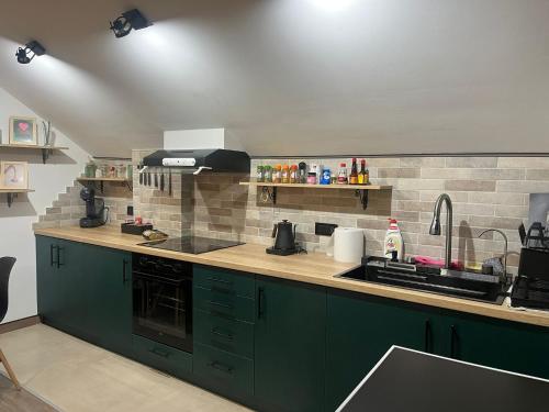 a kitchen with green cabinets and a sink at Lighthouse Apartman in Svilajnac
