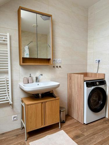 a bathroom with a sink and a washing machine at Pobyt na Mlýně in Červená Voda