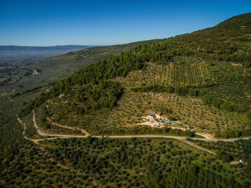 an aerial view of a hill with trees and a road at Pekko in Spello