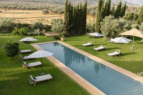 a swimming pool with umbrellas and lounge chairs and a pool at Villa A Atlas Retreat Luxury B and B Beni Mellal in Beni Mellal