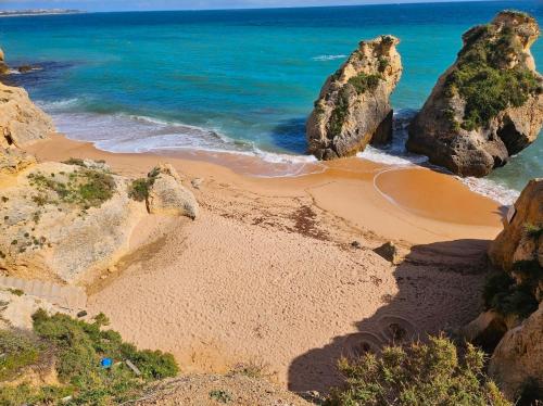 Ocean View in Algarve