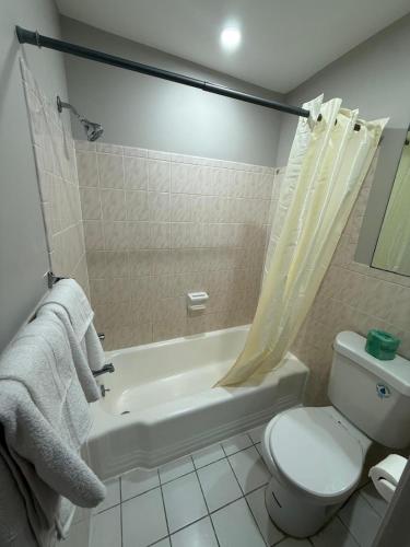 a bathroom with a toilet and a tub and a sink at Monte Mario Motel & Efficiency in Latham