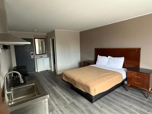 a hotel room with a bed and a sink at Monte Mario Motel & Efficiency in Latham