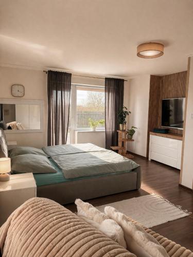 a bedroom with a large bed and a television at Agroturystyka Parlińskie Wody II in Parlino