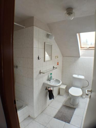 a bathroom with a toilet and a sink at Chata Florian in Adolfov