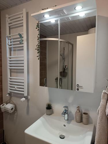 a bathroom with a sink and a mirror at Orca Apartman in Jagodina