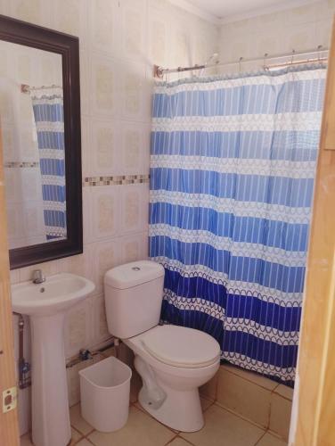 a bathroom with a toilet and a blue shower curtain at Cabañas rústico in San Pedro de Atacama