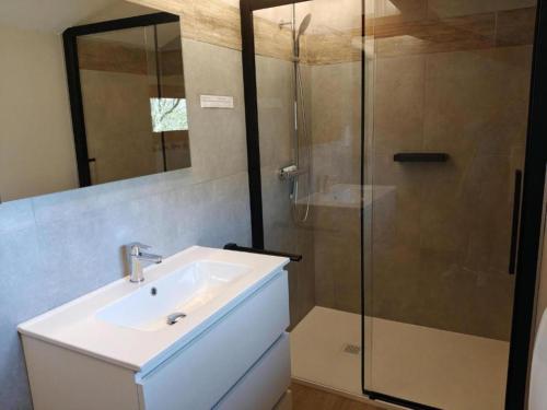 a bathroom with a sink and a glass shower at Vue sur Ourthe in Durbuy