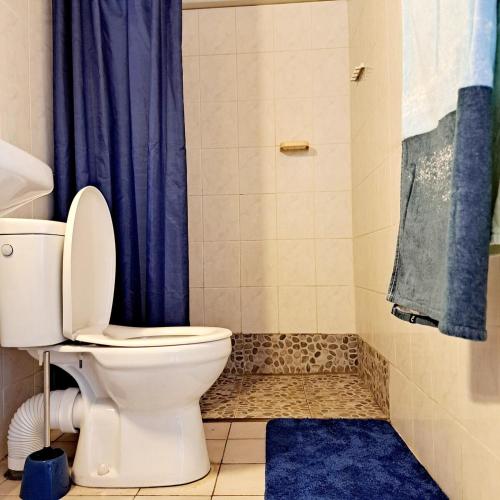 a bathroom with a toilet and a blue shower curtain at La Maison Rose in Le Robert