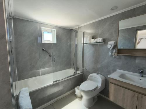 a bathroom with a shower and a toilet and a sink at Hotel Ágora in Viña del Mar