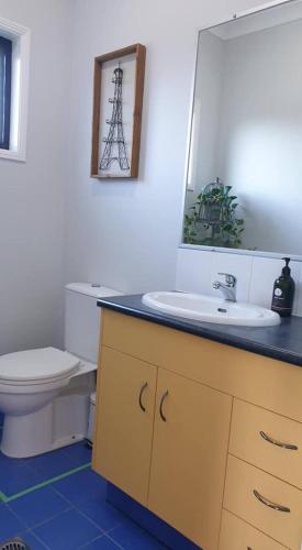 a bathroom with a sink and a toilet and a mirror at Stylish Studio in Reedy Creek in Gold Coast