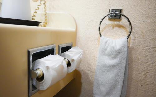 a roll of toilet paper hanging on a wall at Hotel Santa Irene Guadalajara in Guadalajara