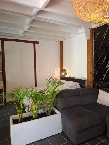 a living room with a couch and a bed at Ô Privilège studio jacuzzi clim en centre-ville de Saint-Pierre in Saint-Pierre