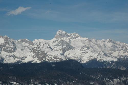 a snow covered mountain with trees in front of it at Apartment Dijak in Bohinj