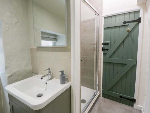 a bathroom with a sink and a shower at Fern Cottage in Cardigan